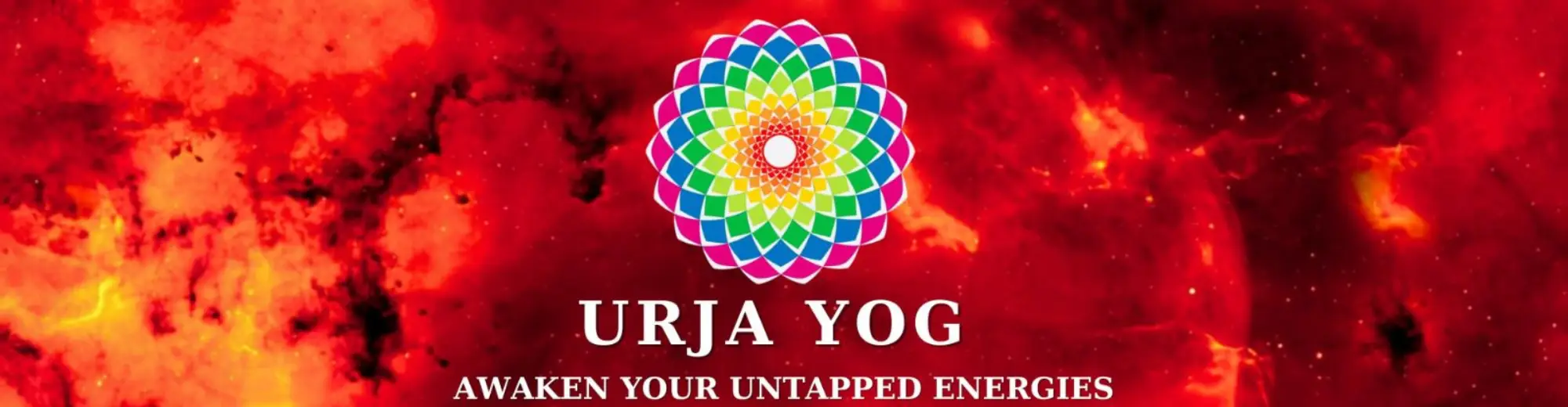 banner_img1